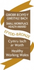 Small Workplace Health Award
